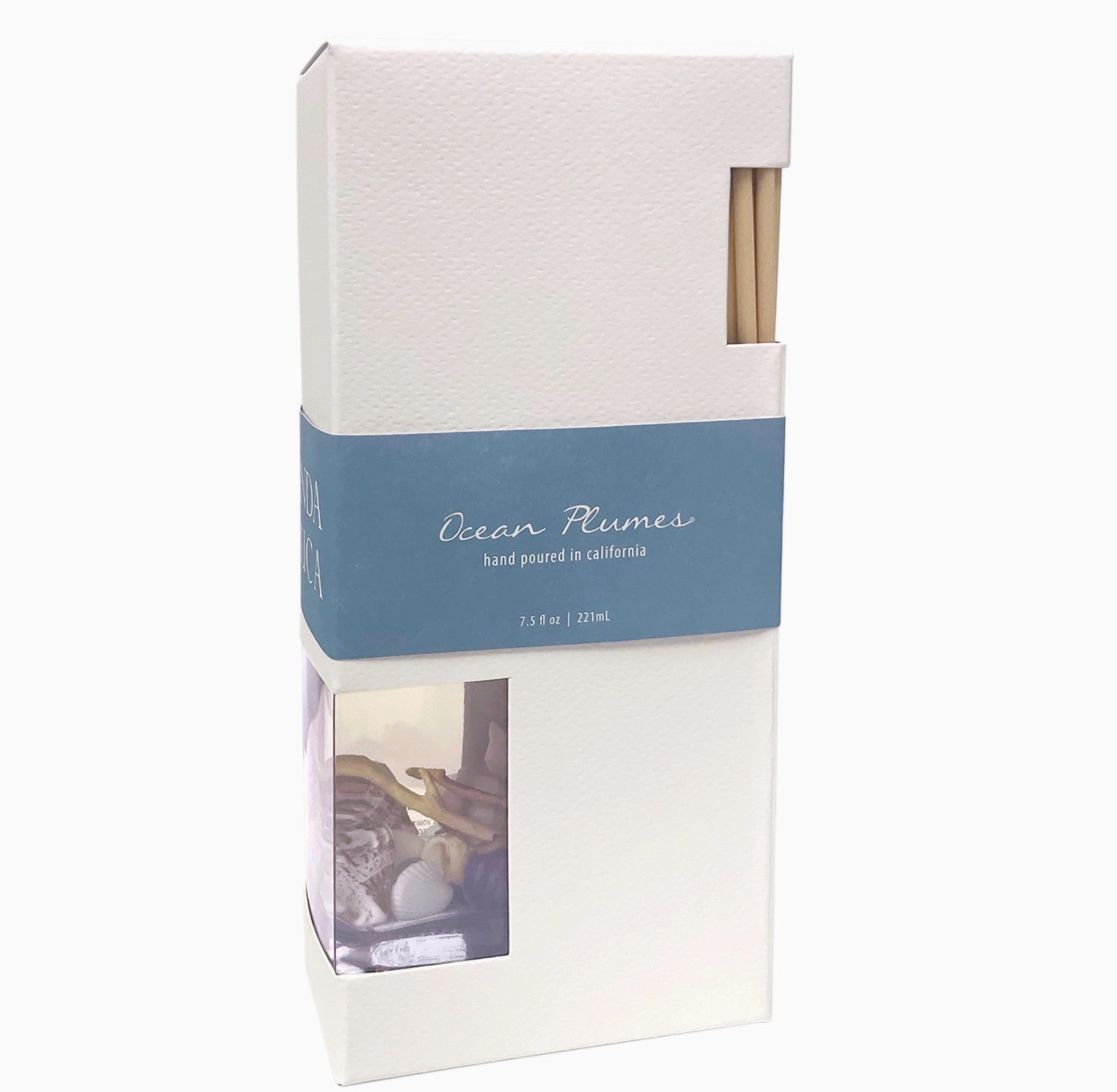 Ocean Plumes fragrance reed diffuser with shells and driftwood inside the bottle.