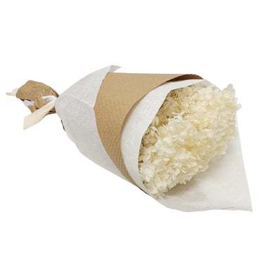 Ivory hydrangea stem wrapped in paper and tied with a bow.