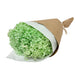 Green hydrangea stem wrapped in paper and tied with bow.