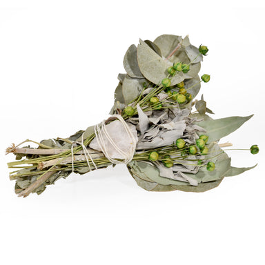 Dried Eucalyptus and white sage bundle.