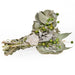 Dried Eucalyptus and white sage bundle.