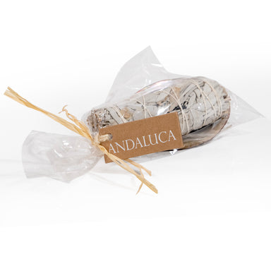 White sage smudge in abalone shell.