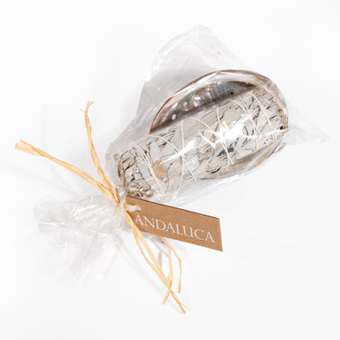 White sage smudge in abalone shell.