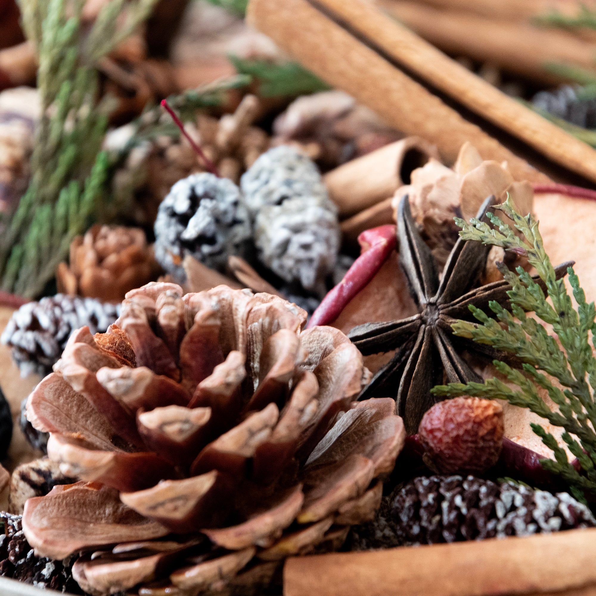 Close-up of Apple Cinnamon Potpourri Bag of dried & preserved  Botanicals mixes with whole dried spices. For decoration only.
