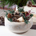 Evergreen Pine Burlap Pinecone Bag. Displayed in a white wooden bowl, shot on a table.