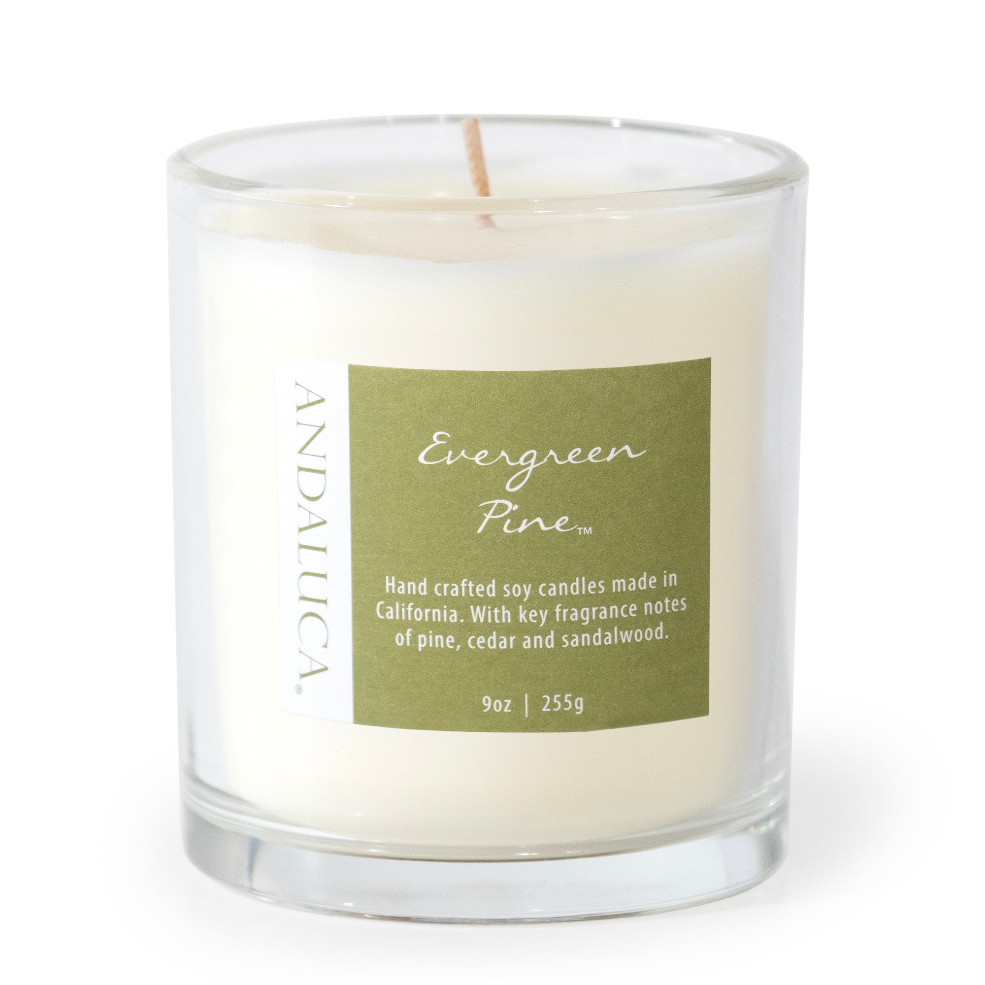 Evergreen Pine 9oz Candle