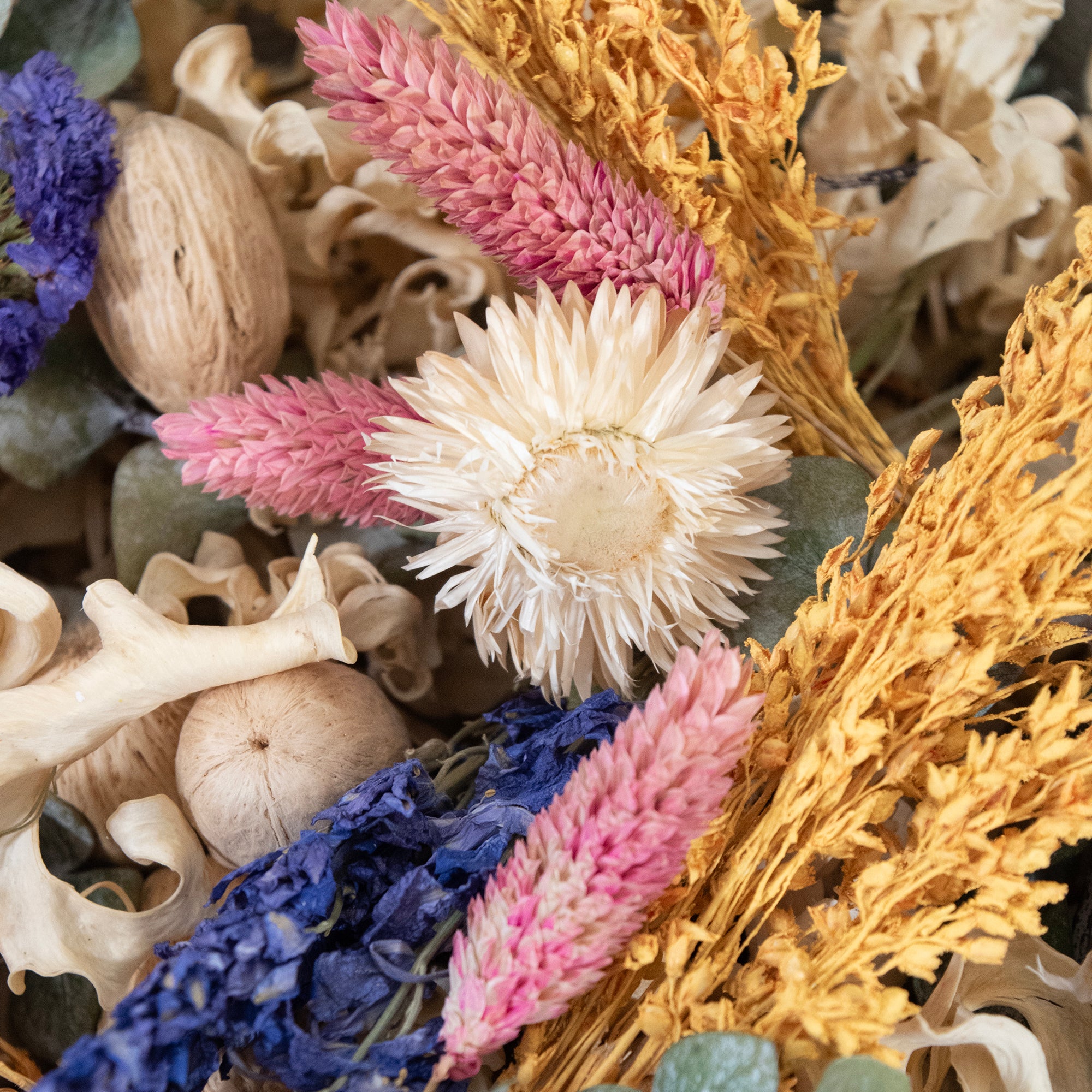 Close-up of dried flowers and herbs with a focus on textures and colors.