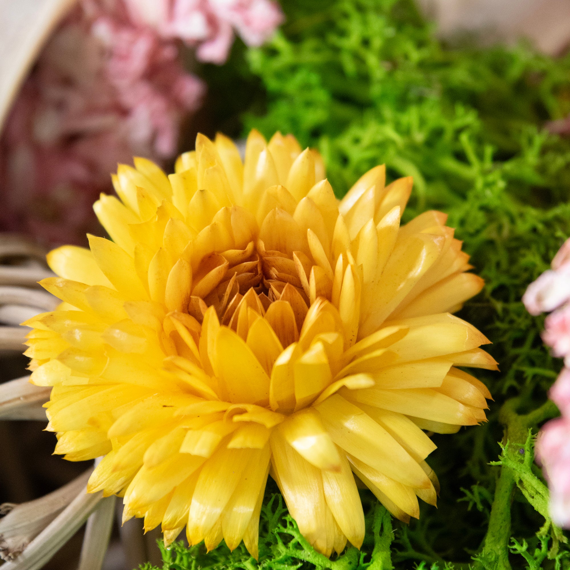 Floral Medley & Moss Bowl Filler, close up.