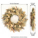 Dried floral wreath shown on a white background with dimension callouts: 19 inch diameter overall, 3.5 inch width, and 3.