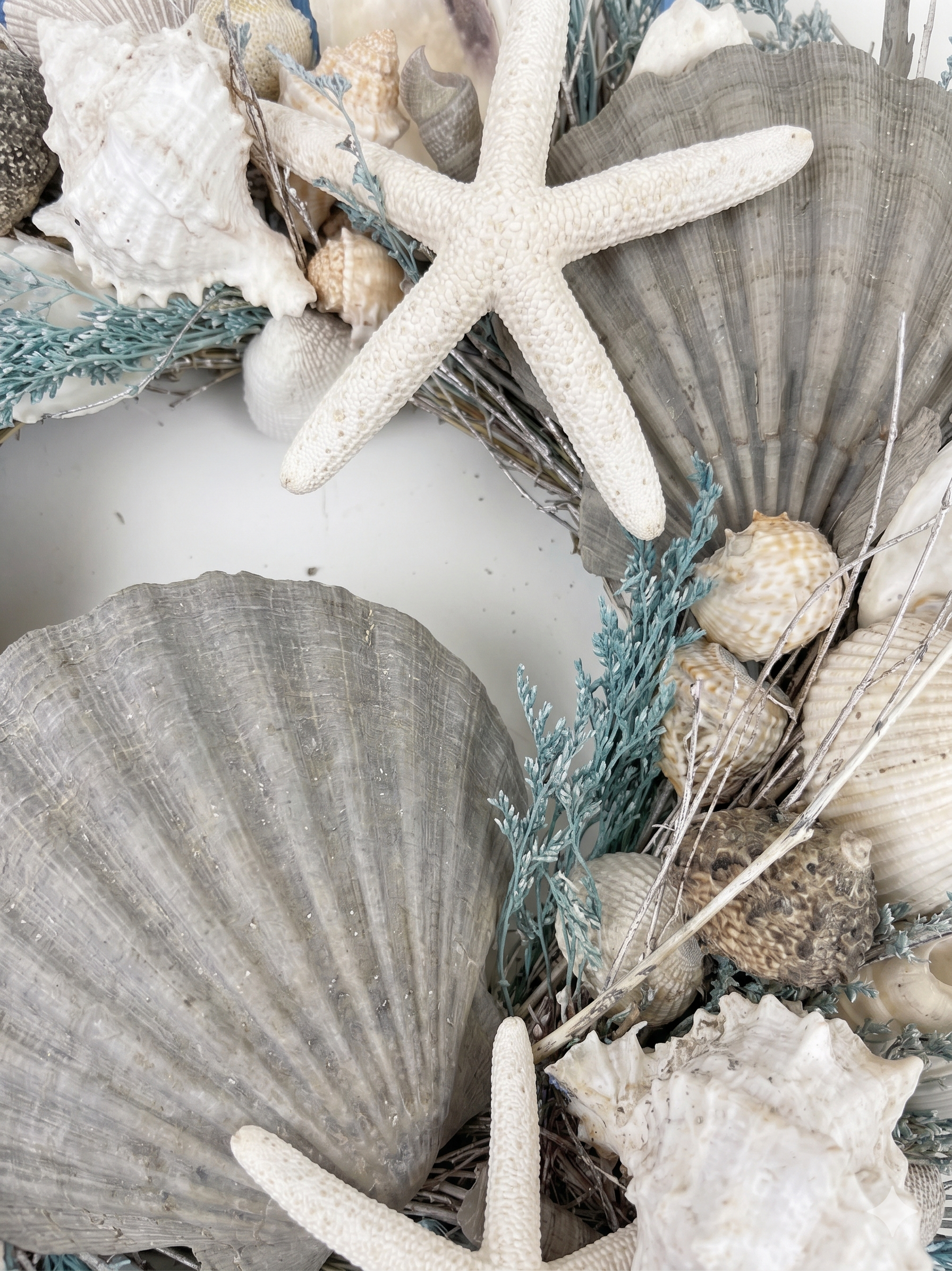 Decorative arrangement with seashells, starfish, and greenery on a white background