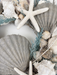 Decorative arrangement with seashells, starfish, and greenery on a white background