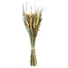 Green & Natural Grains Bouquet Success