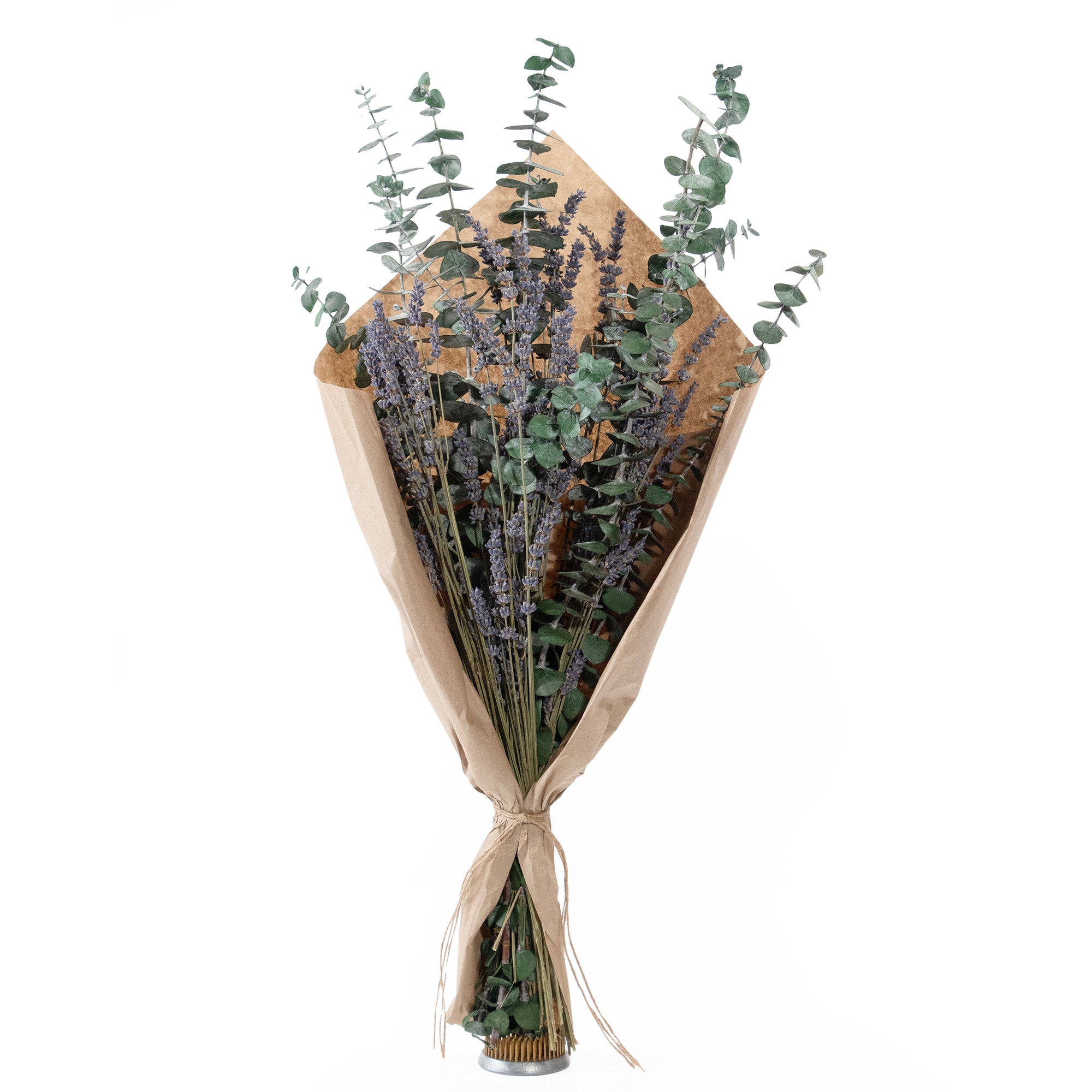 Bouquet of preserved baby eucalyptus and dried lavender.