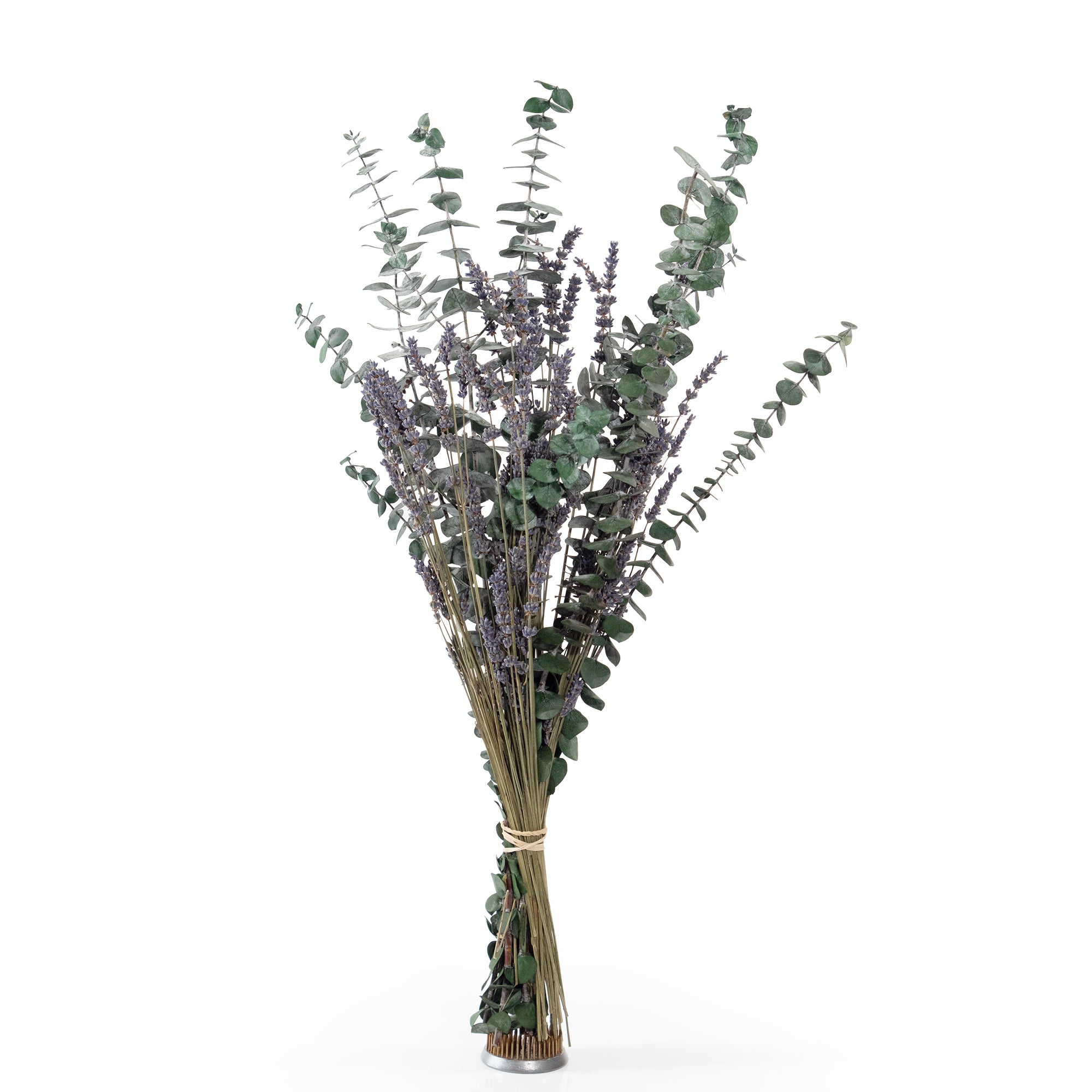 Bouquet of preserved baby eucalyptus and dried lavender.