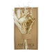 Ivory and natural mini bouquet of bunny tails, grains, and a flower.