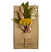 Mini bouquet of yellow yarrow flower, white larkspur flower, leaves and grains.