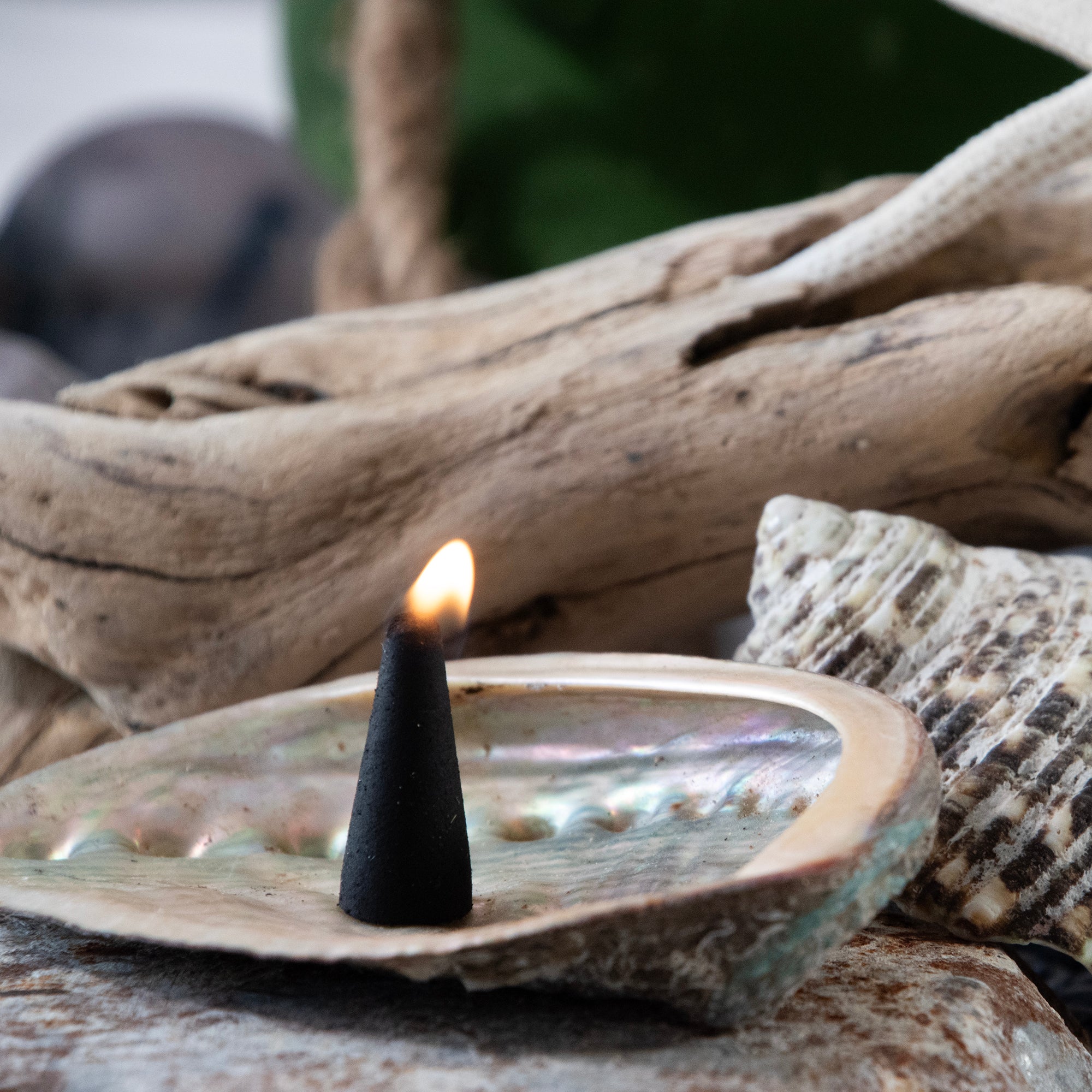 tobacco incense cones 100 pc Incense Cones In Jar: Tobacco & Teakwood Fragrance tobacco incense cones 100 pc Incense Cones In Jar: Tobacco & Teakwood Fragrance