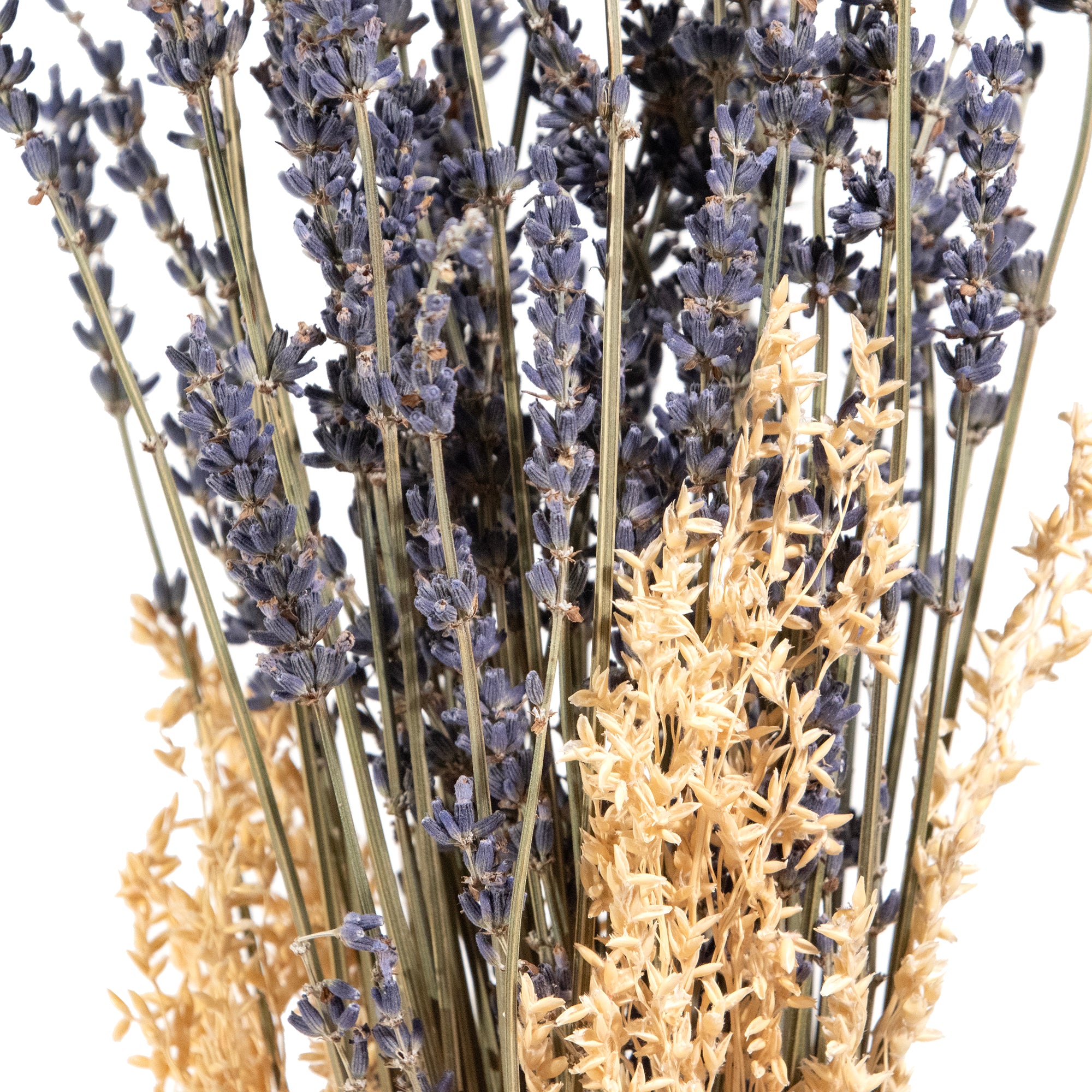 Lavender & Grains Bundle