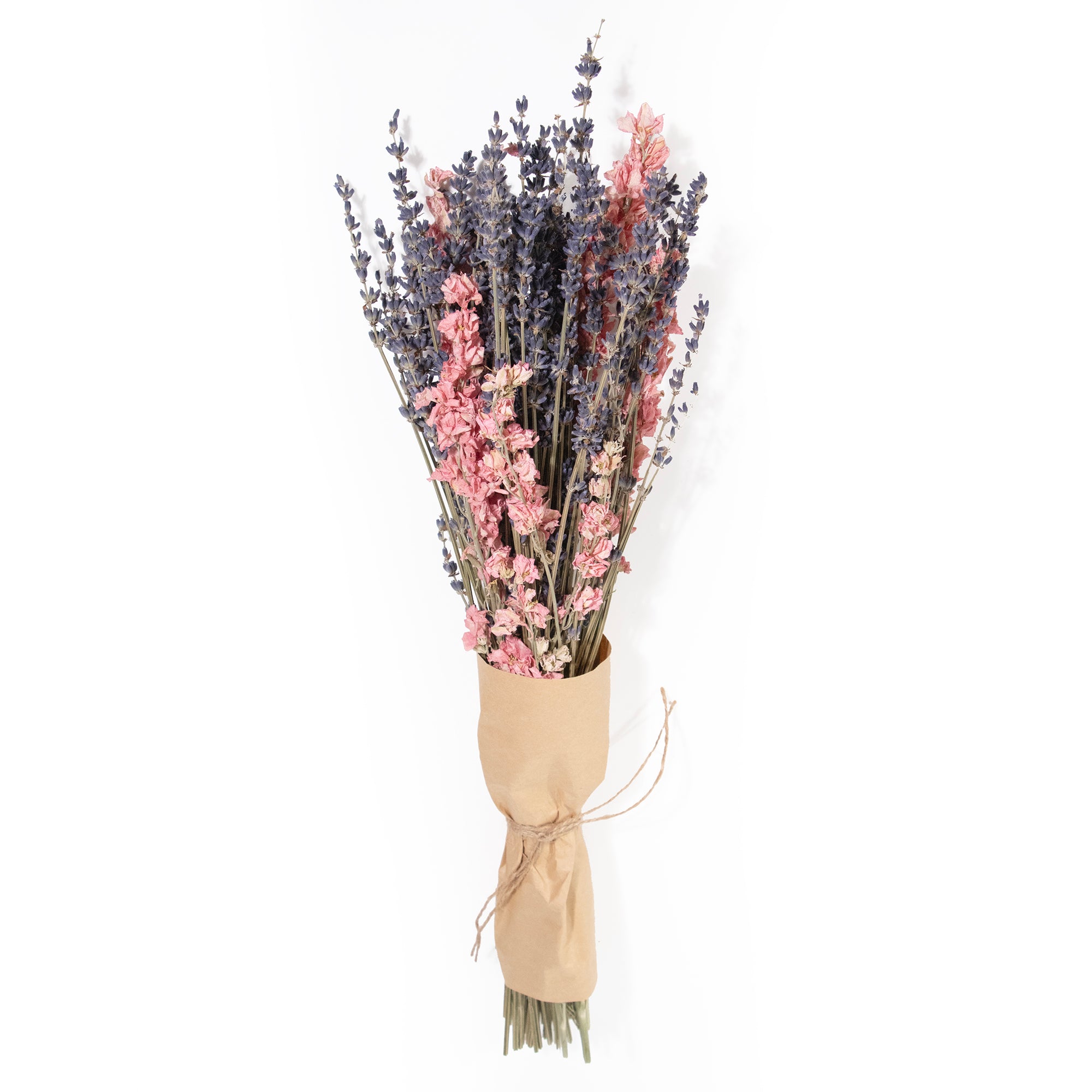 Lavender & Pink Larkspur Bundle