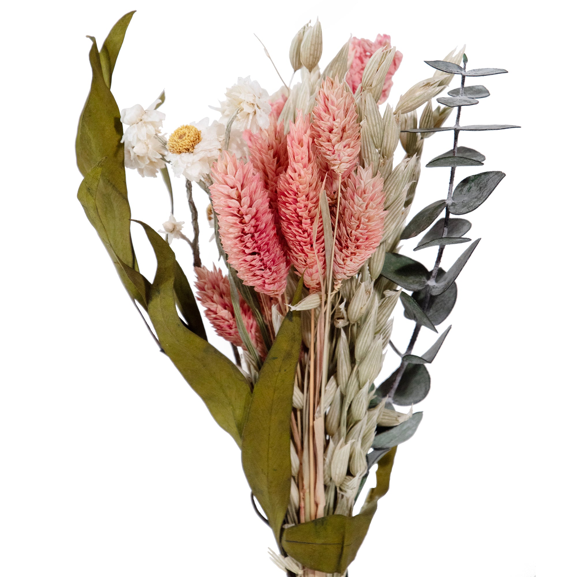 Close up of Mini bouquet with pinl larkspur, willow eucalyptus, baby eucalyptus, phalaris, and aveena, on a white background.