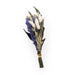 Mini bouquet with purple larkspur, willow eucalyptus, bunny tails, flax, and aveena on a white background.