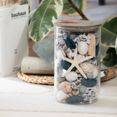 Pacific Isles Potpourri Jar, filled with shells and starfish on a table with a plant and books in the background.