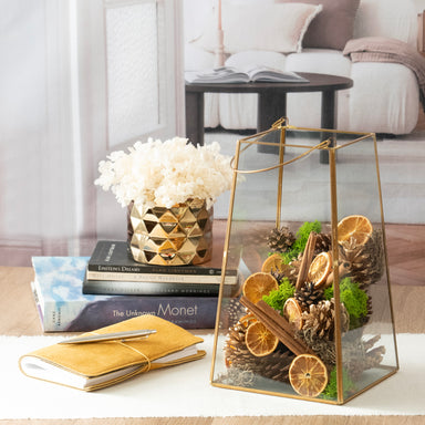 Orange Slice & Moss Bowl Filler displayed in a glass container.