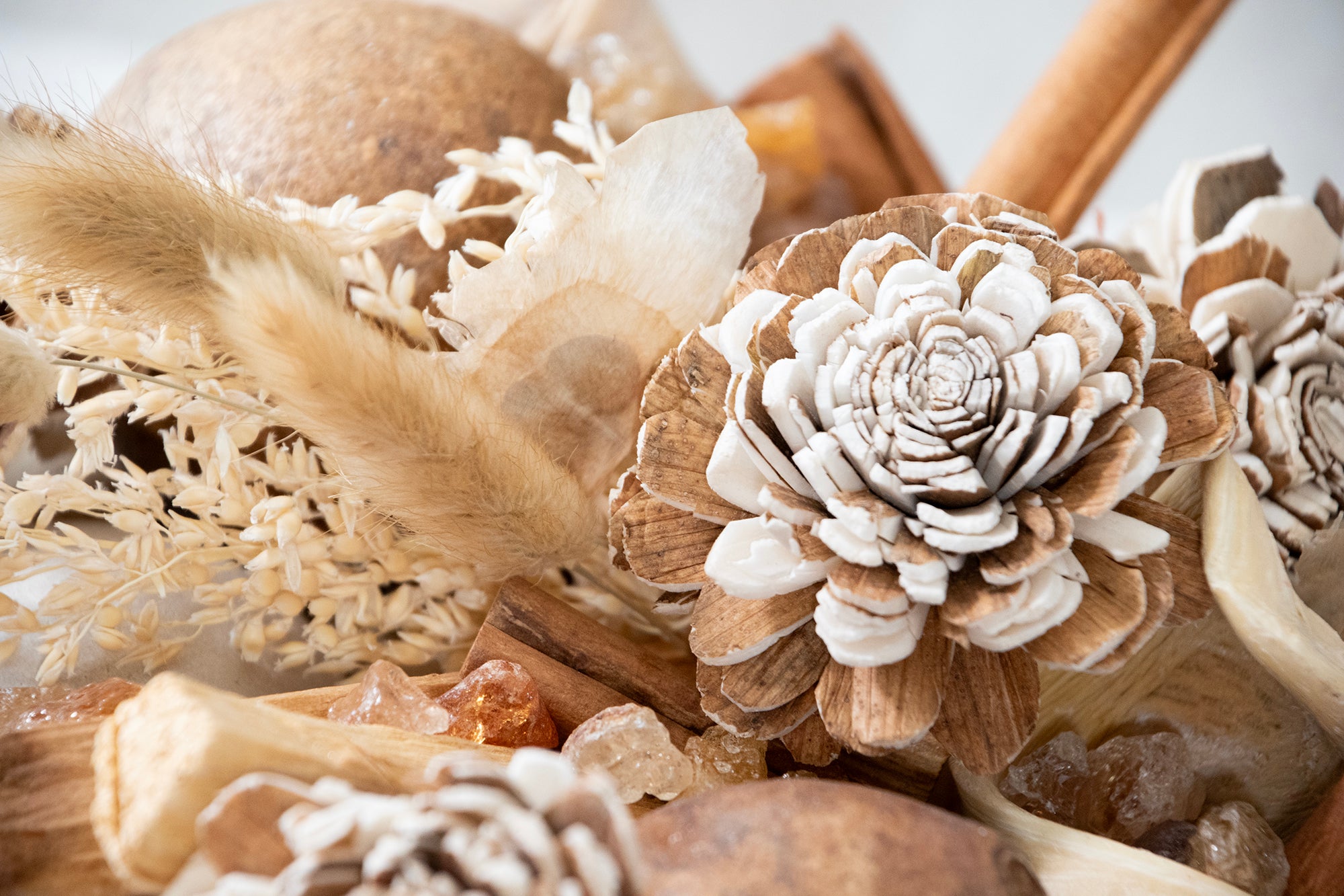 Palo Santo & Cedar Fragrance Potpourri