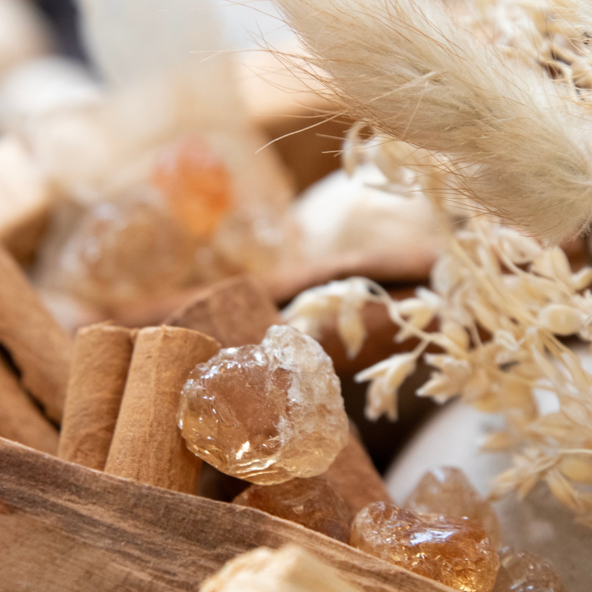 Palo Santo & Cedar Fragrance Potpourri