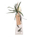 Clear glass bottle with salt inside plus dried willow botanicals.