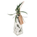 A clear glass vase with a geometric hexagonal shape, filled with white decorative stones and green leaves, tied with twine and a paper tag that reads ANDI LUCA, on a plain white background.