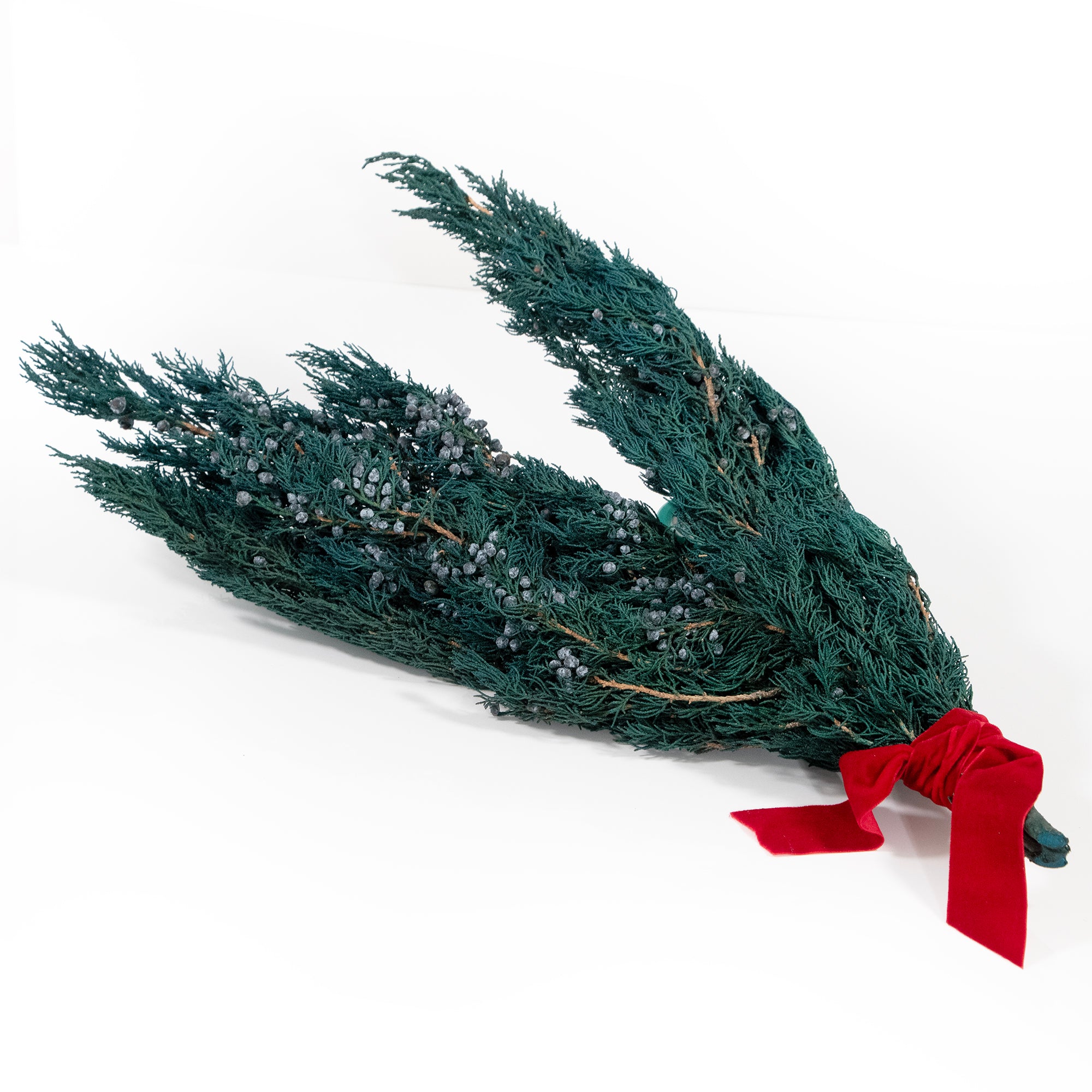 Bundle of preserved juniper with red ribbon.