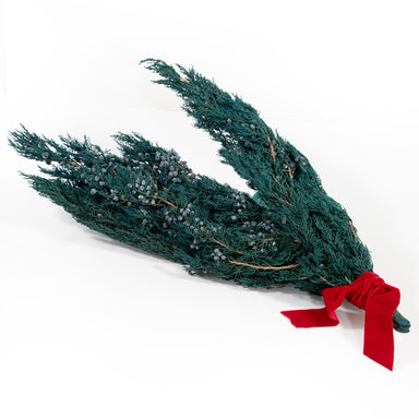 Bundle of preserved juniper with red ribbon.