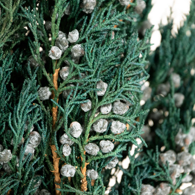 Close-up of a bundle of preserved juniper