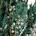 Close-up of a bundle of preserved juniper