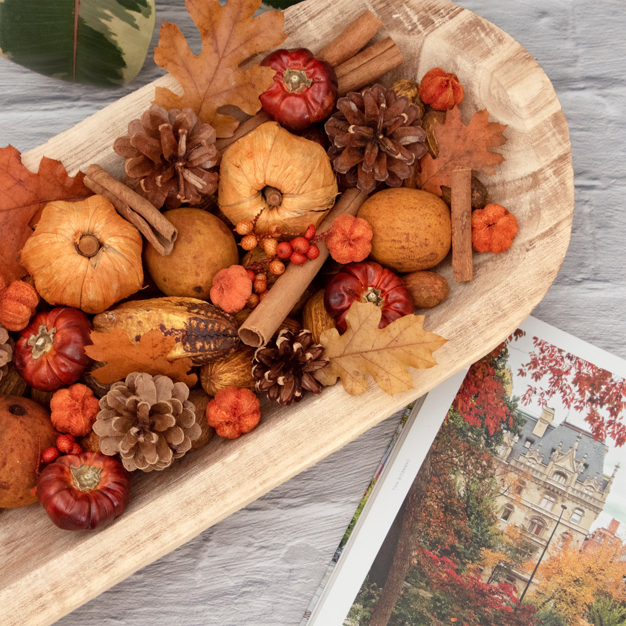 Pumpkin Patch Potpourri