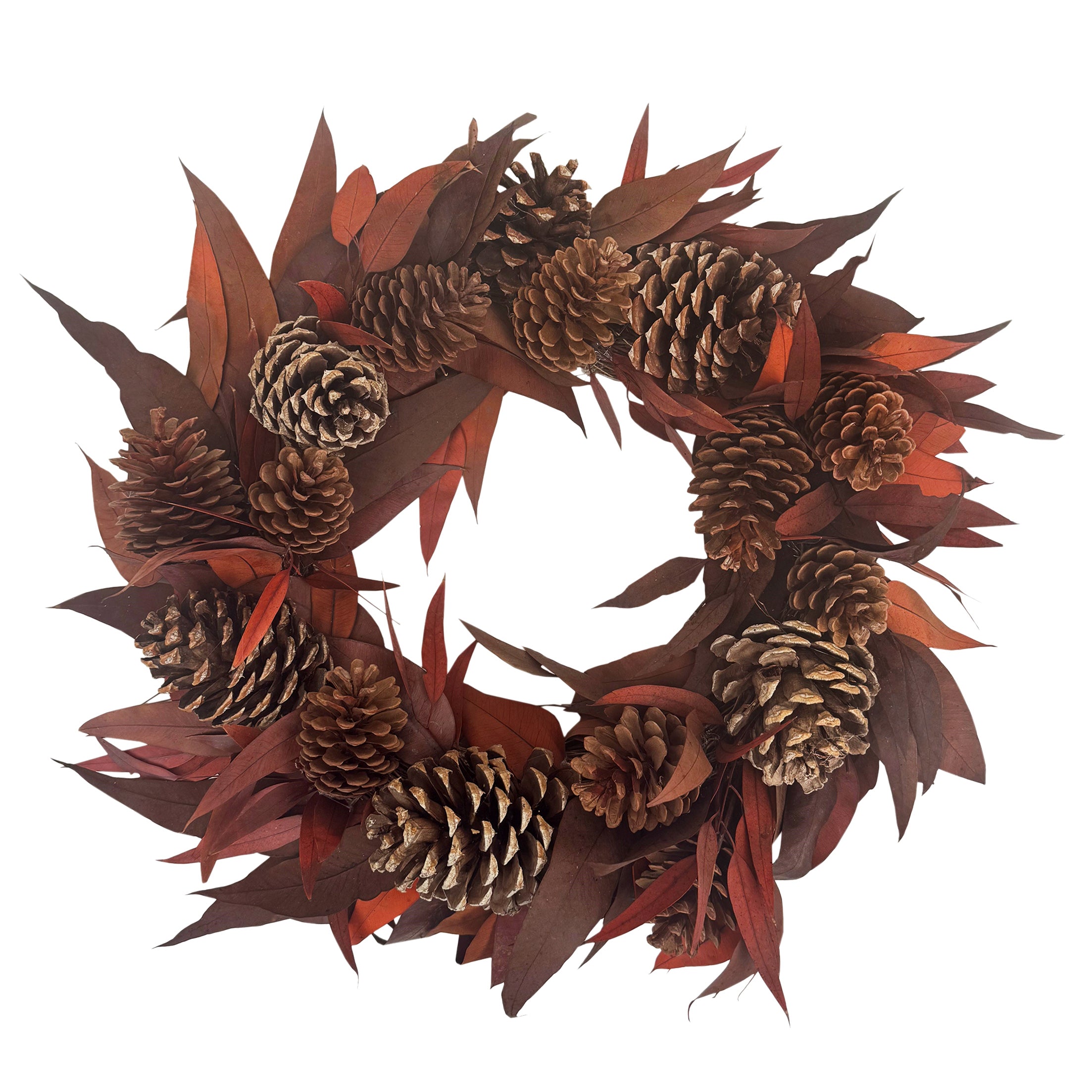 Wreath with pinecones and red leaves on a white background