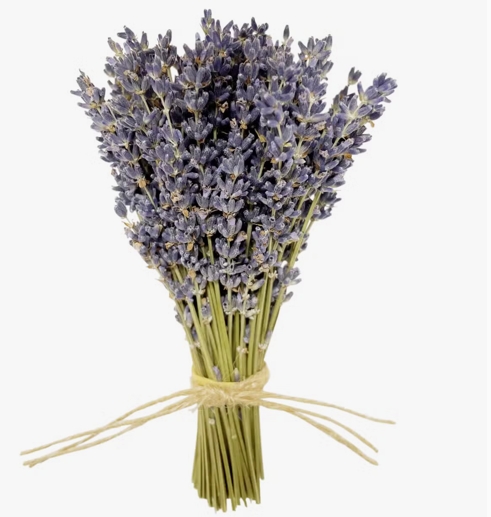 MINI French Lavender Bundle