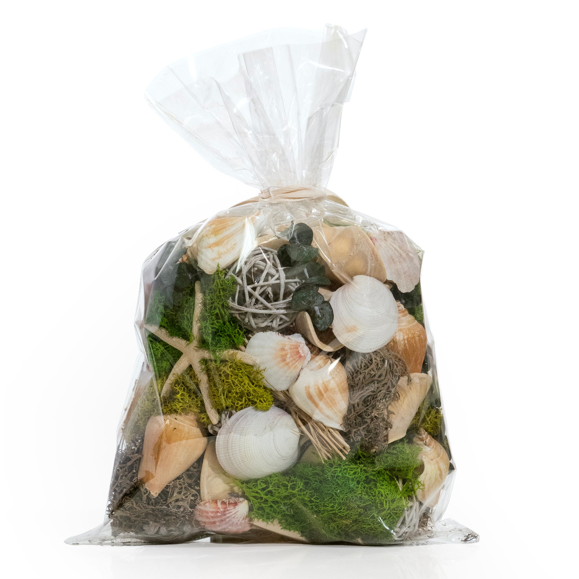 Seashell Medley & Moss Bowl Filler Bag, shot on a white background. Back of the bag.