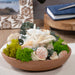 Seashell Medley & Moss Bowl Filler displayed in a bowl on a table.