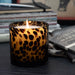 A  lit Tortoise Glass candle, set on a dark tabletop with books in the background.