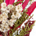 Spring Love Bouquet closeup
