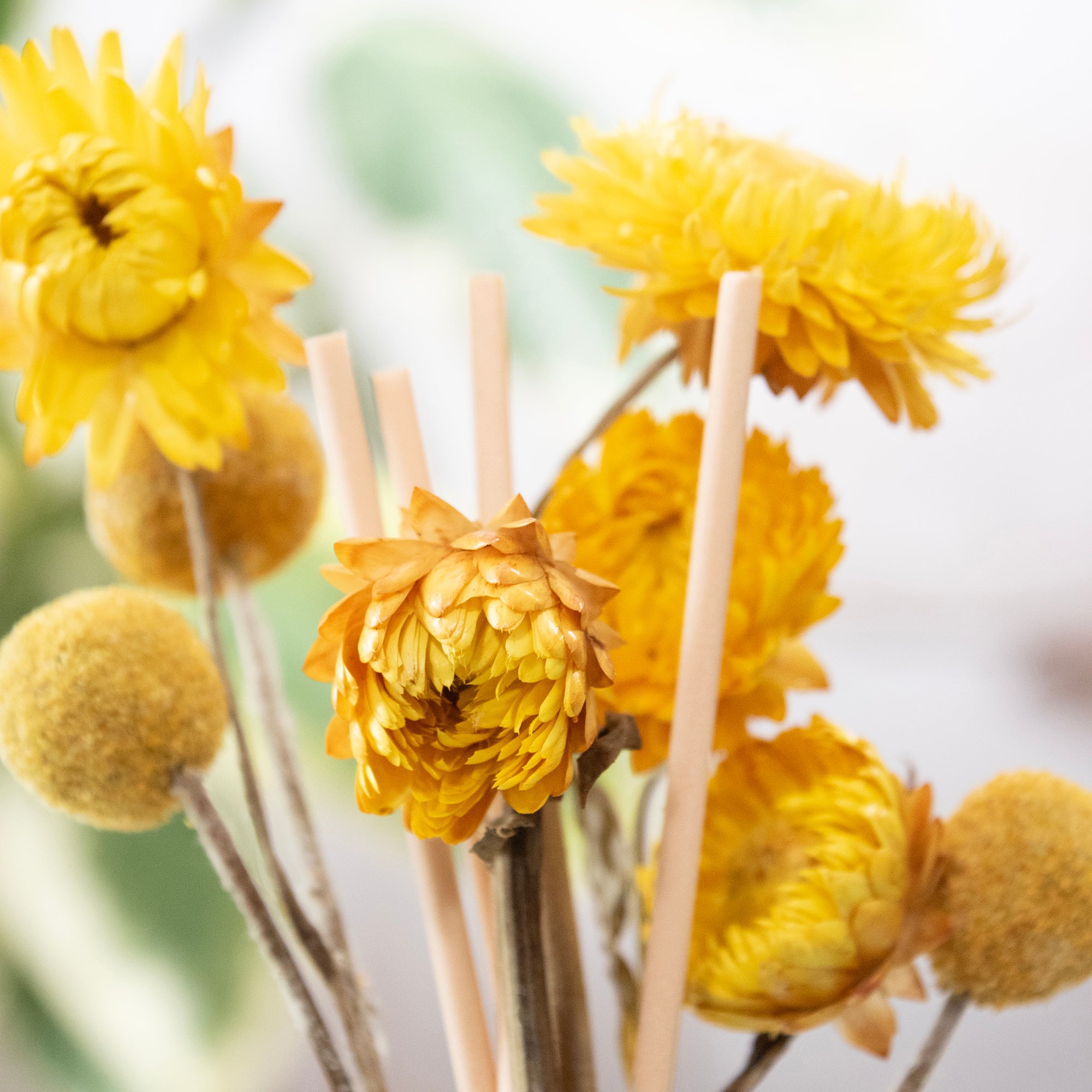 Vanilla Strawflower Botanical Reed Diffuser