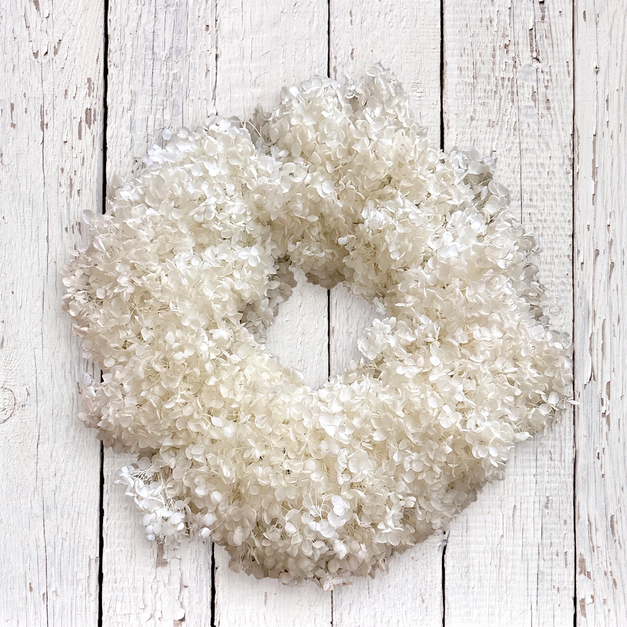 An 18" of Natural White Hydrangea Preserved  Wreath. Hangong on a whitewash fence.