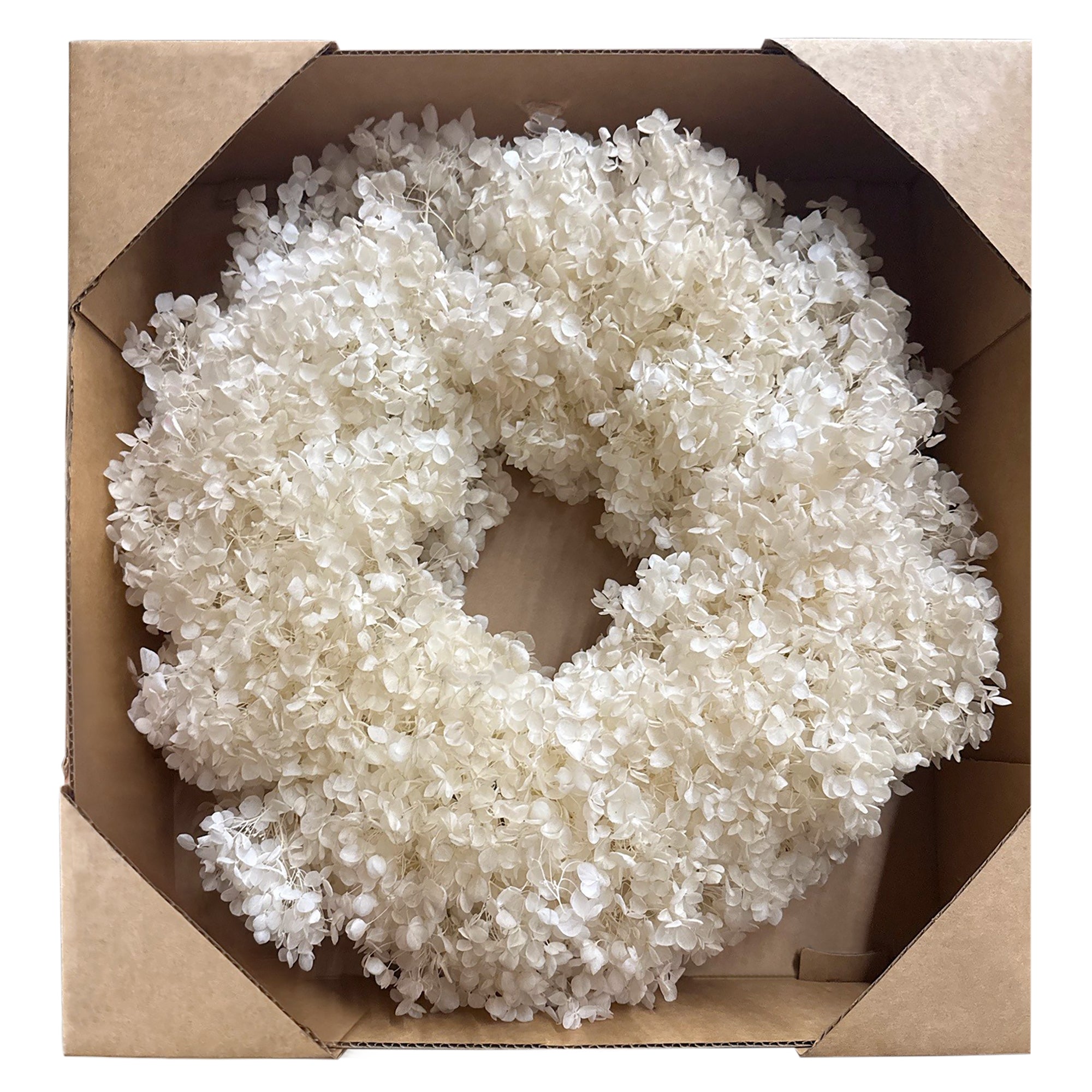 An 18" of Natural White Hydrangea Preserved  Wreath. Showen in a cardbord display box.