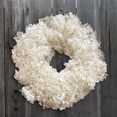 An 18" of Natural White Hydrangea Preserved  Wreath. Hangong on a grey fence.