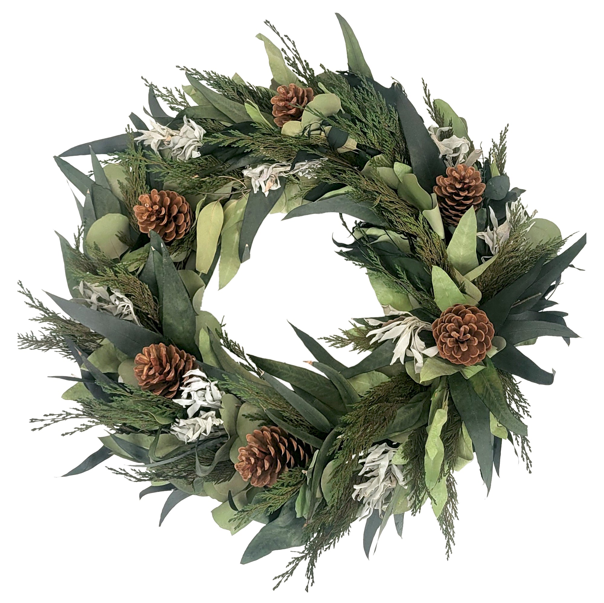 Winter Sage Haoliday wreath, filled with dried sage, willow eucalyptus leaves and accentuated with pinecones, on a white background.