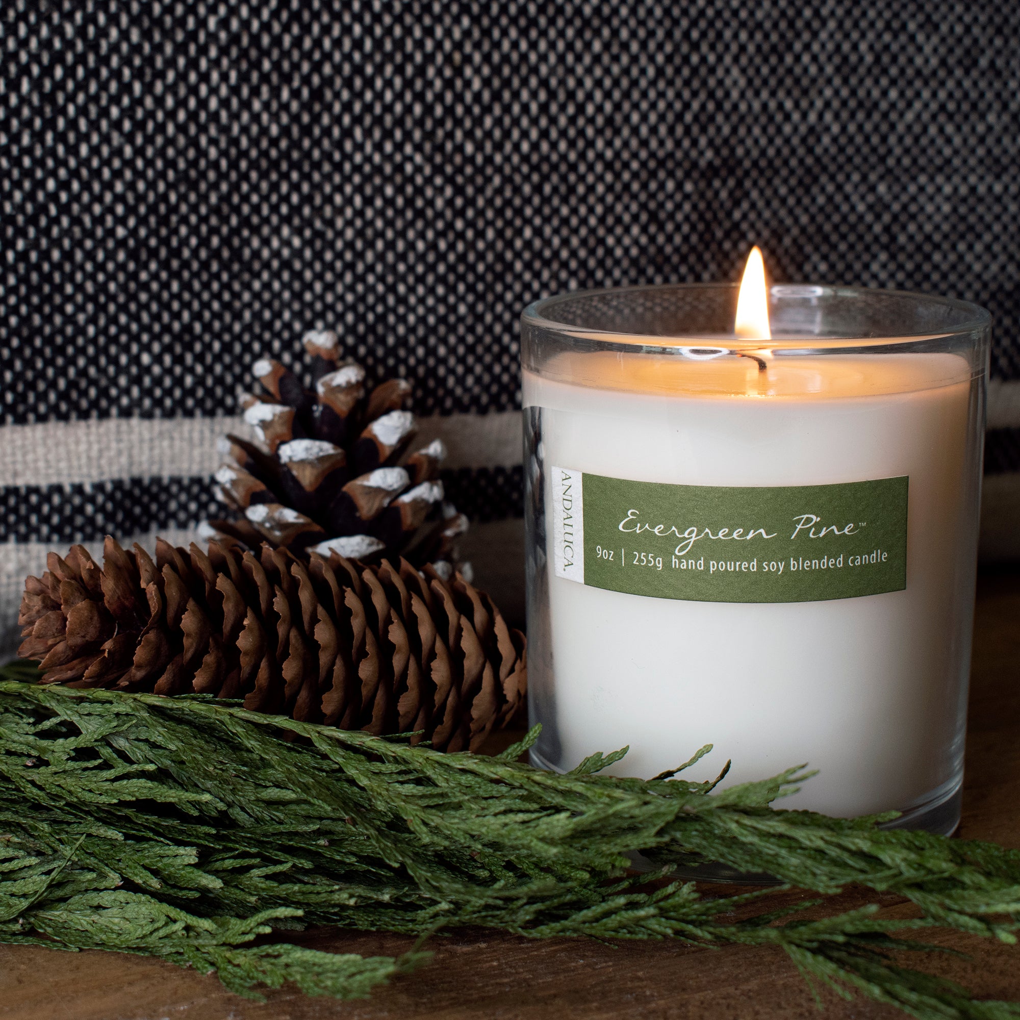 Evergreen Pine 9oz Candle