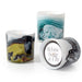 White Sage & Lily 14 oz. Swirl Glass Candle collection